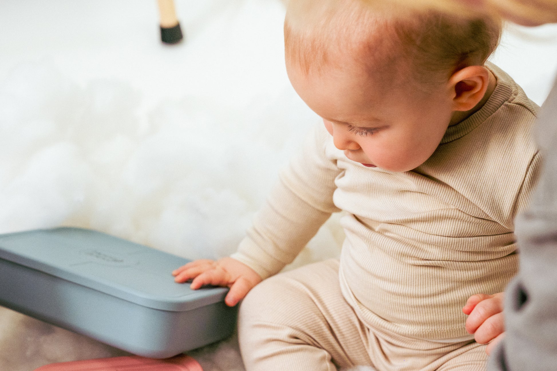 [Sea] bento box 2